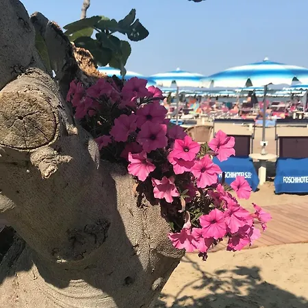 Hotell Piccadilly Bellaria-Igea Marina