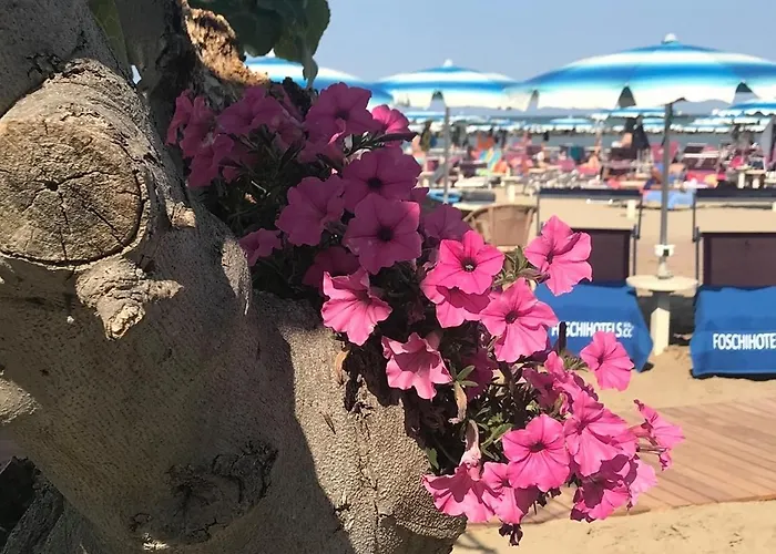 Hotel Piccadilly Bellaria-Igea Marina